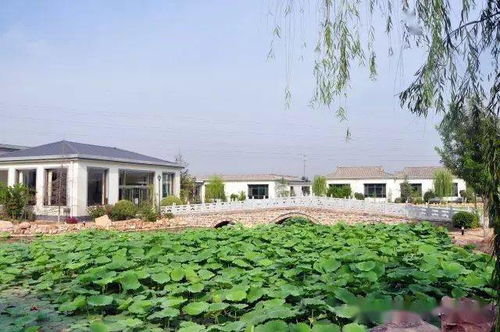 沙河 兩家園區獲a等次