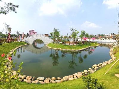 魚塘變公園、村莊成景區,東莞寒溪水村繪就農村美景