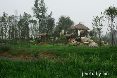 錦江白鷺溪生態(tài)公園 鏡中的生態(tài)之美