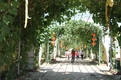 運河古郡 渤海明珠 國際旅博會專刊聚焦生態園新篇章