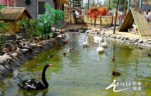 助力冬奧丨華北奕豐生態(tài)園戲雪樂園即將開園，生態(tài)旅游與冰雪運(yùn)動(dòng)完美融合